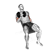 Curl De Bíceps En Banco Inclinado