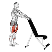 Sentadilla Con Apoyo