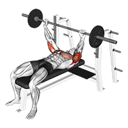 Press De Tríceps Con Barbell