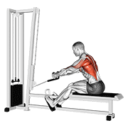 Remo Sentado Con Cuerda Elevada