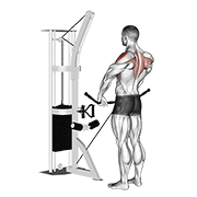 Levantada Vertical Con Cable