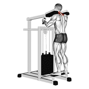 Elevación De Hombros Sin Agarre