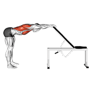 Estiramiento De Pecho Y Espalda