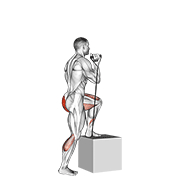 Subida Con Banda Elástica