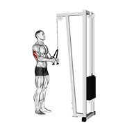 Empujada De Tríceps Con Cuerda