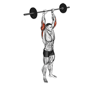 Extensión De Tríceps Con Barbell Sobre La Cabeza