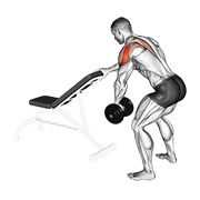 Fly De Hombro Con Mancuerna (con Apoyo)