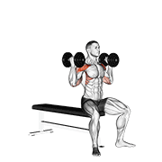 Press De Hombros Con Mancuernas