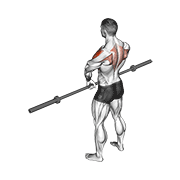 Levantada Vertical Con Barbell