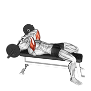 Extensión De Tríceps Acostado