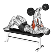 Press Banca Con Barra Ez