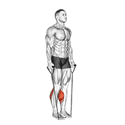 Elevación De Talones Con Banda