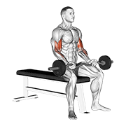 Curl De Bíceps Con Barra Ez Sentado