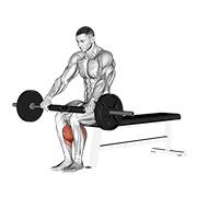 Levantada Sentada De Calfa Con Barbell