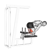 Curl De Piernas Invertido (con Banco)