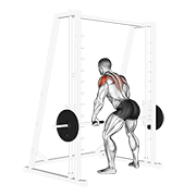 Dominada Smith Deltoides Posteriores