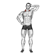 Estiramiento Lateral Del Cuello