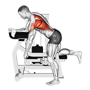 Remo Unilateral Con Máquina