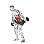 Ejercicio Del Látigo