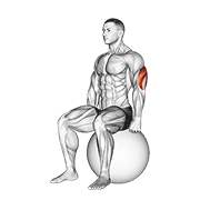 Estiramiento De Tríceps Sentado En Balón De Equilibrio