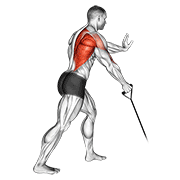 Remo Uno Por Mano Con Banda Elástica - Variación Lateral