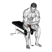 Curl De Muñeca Con Mancuerna