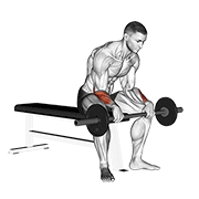 Curl De Muñeca Invertido Con Barbell