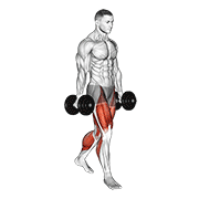 Caminata Del Granjero