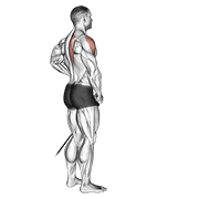 Levantada Lateral Con Banda Elástica