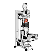 Giro En Posición Arrodillada Con Máquina