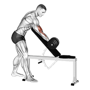 Curl De Bíceps Zottman Con Mancuerna