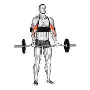 Curl De Bíceps Con Barbell (con Arm Blaster)