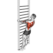 Remo Con Barra Cerrada