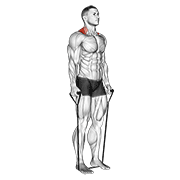 Elevación De Hombros Con Banda