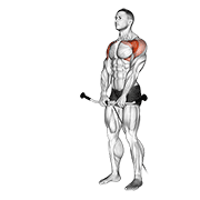 Levantada Frontal Con Cable