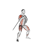 Press De Hombros Con Banda Elástica