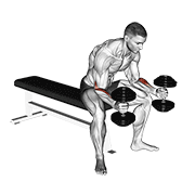 Curl De Bíceps Con Mancuernas Sentado