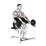 Curl De Bíceps Con Barra Ez - Agarre Inverso