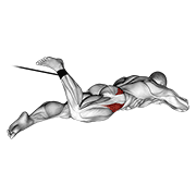 Rotación Interna De Cadera Acostado Con Banda Elástica