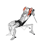 Extensión De Tríceps Con Cuerda En Banco Inclinado - Variante Inversa