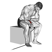 Curl De Muñeca Con Banda