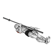 Press De Banca Uno Brazo