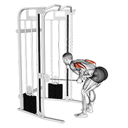 Patada De Tríceps Con Cable