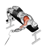 Fly De Pecho Con Cable Declinado