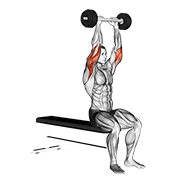 Extensión De Tríceps Con Barra Olímpica