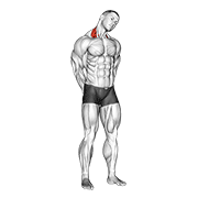 Estiramiento Lateral De Cuello