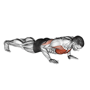 Abdominales En Posición De Plank