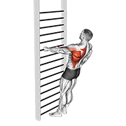 Remo Unilateral De Pie