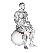 Estiramiento Sentado De Isquiotibiales Con Balón