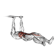 Sentadilla Con Banda